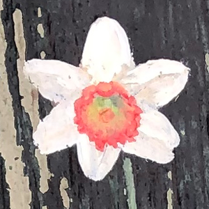 Fundraising Page: Artsy Gals!